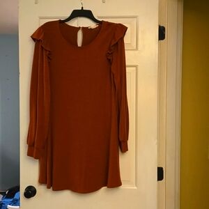Womens Fall dress, size L
